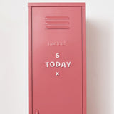 Number Magnets in Blush