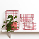 The Baskets in Berry