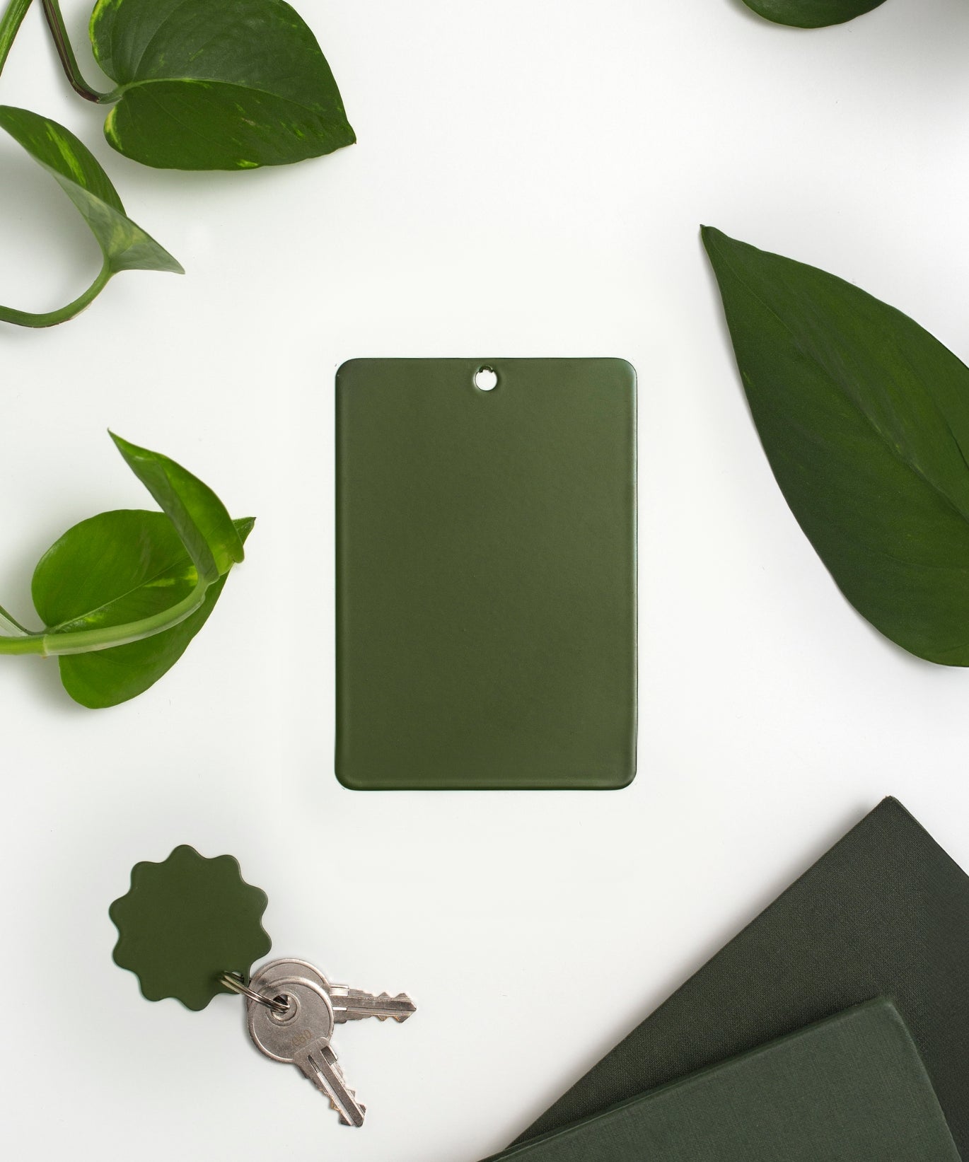 Color Swatch in Olive