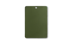 Color Swatch in Olive