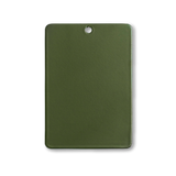 Color Swatch in Olive
